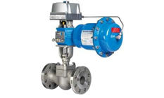 Neles? RotaryGlobe Valve