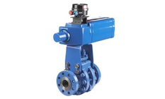 Neles? Trunnion Ball Valve Series D 