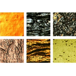 TrueTube for Process/Emissions Analyzers