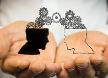 Bridging the Knowledge Gap