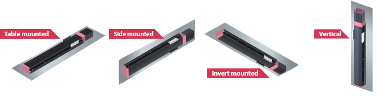 ball screw support mechanism for any installation position