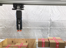 Packaging & Palletizing Transforming Tooling