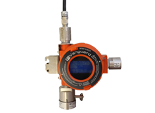Vanguard? Wireless Gas Detector for Toxic and Combustible Gases