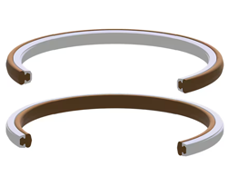 evolve semiconductor seal ring