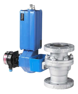 Series X-MBV Modular Ball Valve from Neles?